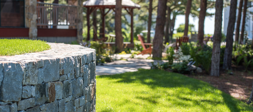 Backyard Landscapes
