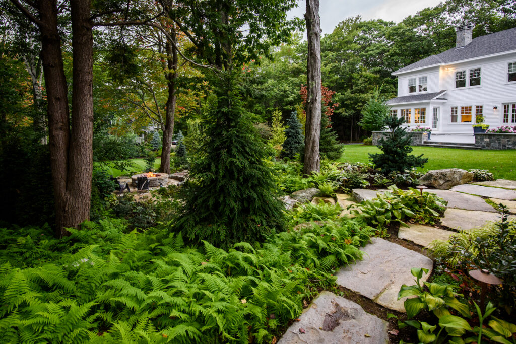 Low Maintenance Landscaping - Terrapin Landscapes