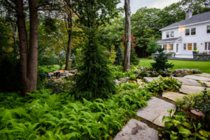 Low Maintenance Landscaping - Terrapin Landscapes