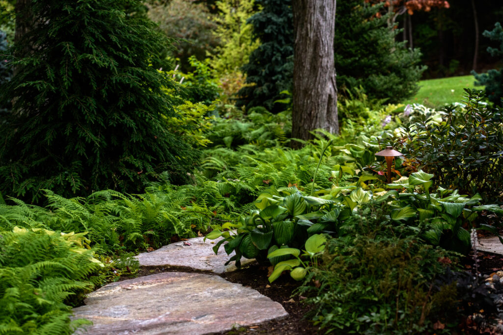 Low Maintenance Landscaping - Terrapin Landscapes