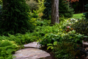 Low Maintenance Landscaping - Terrapin Landscapes
