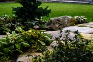 Low Maintenance Landscaping - Terrapin Landscapes