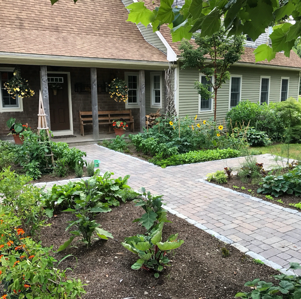 edible landscape at terrapin landscapes