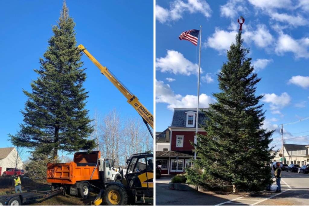 Kennebunkport, Maine Christmas Tree