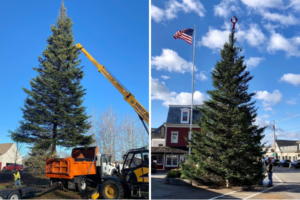 Kennebunkport, Maine Christmas Tree