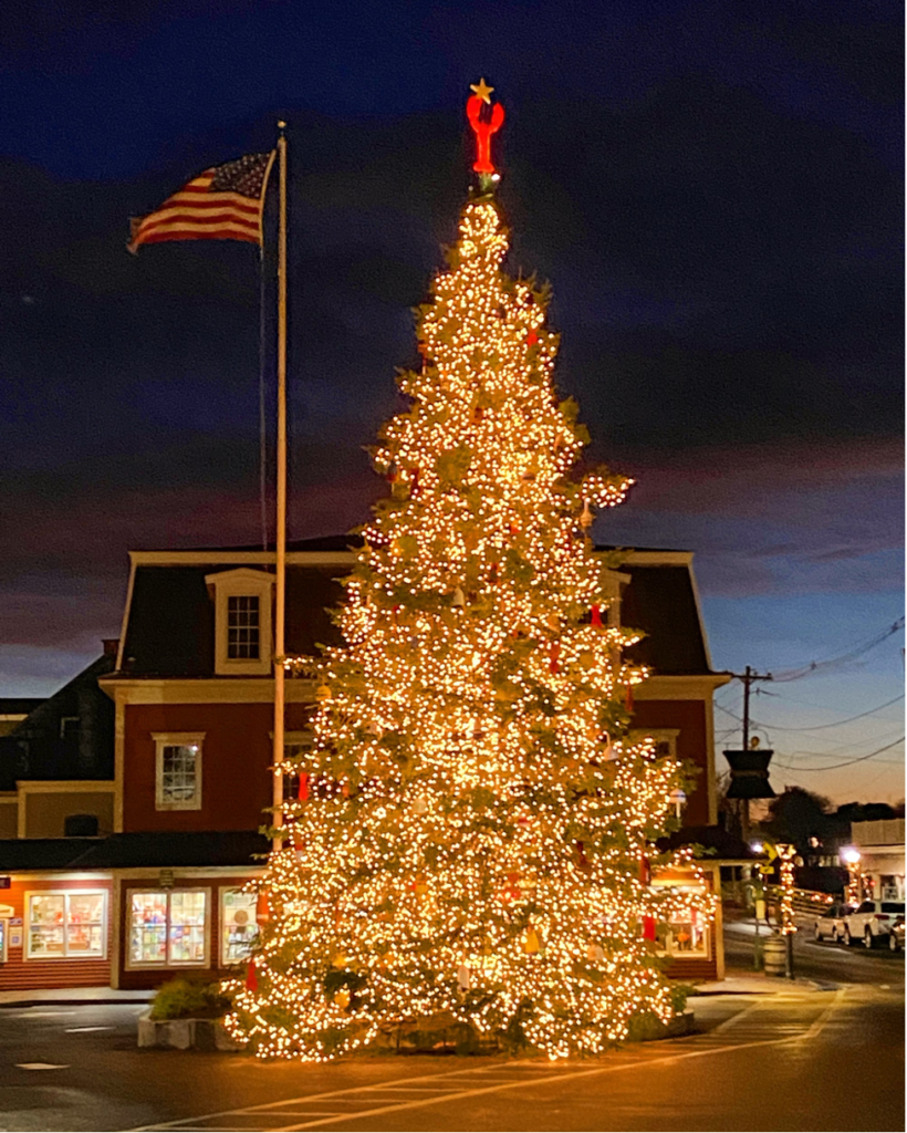Kennebunkport, Maine Christmas Tree